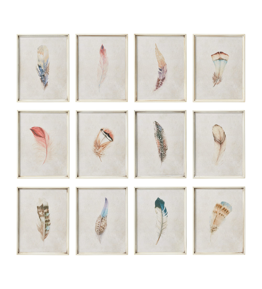 Framed Feather Prints - Set of Twelve - Multi