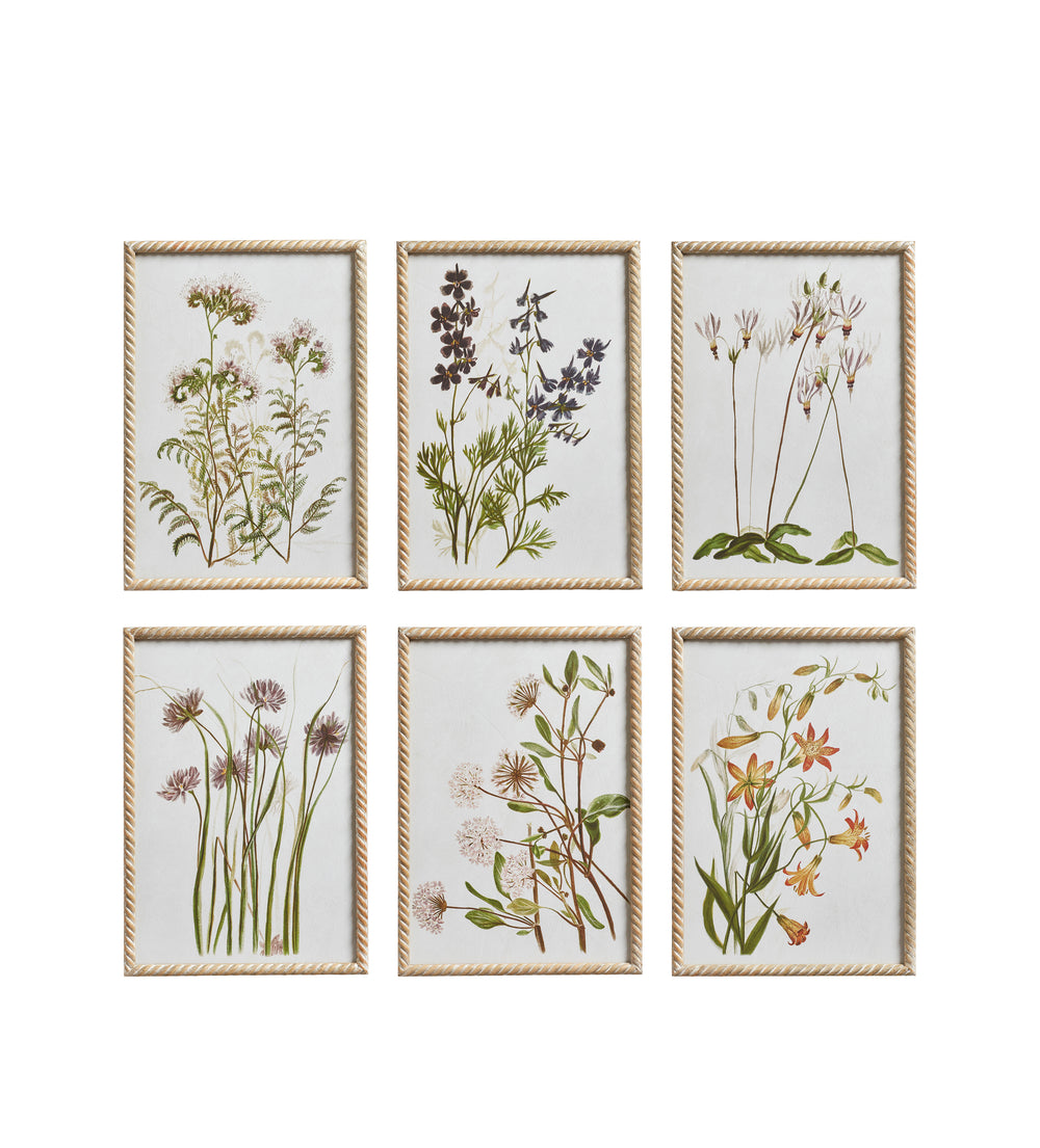 Floral Prints - Set of Six - Multi